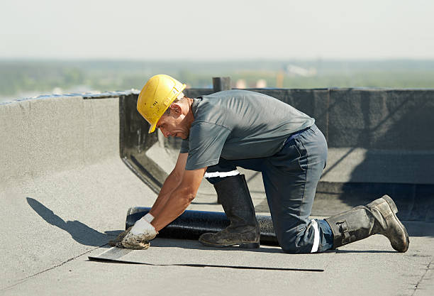 Best Insulation Maintenance and Repair in La Villa, TX