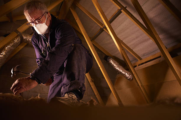Best Commercial Insulation in La Villa, TX